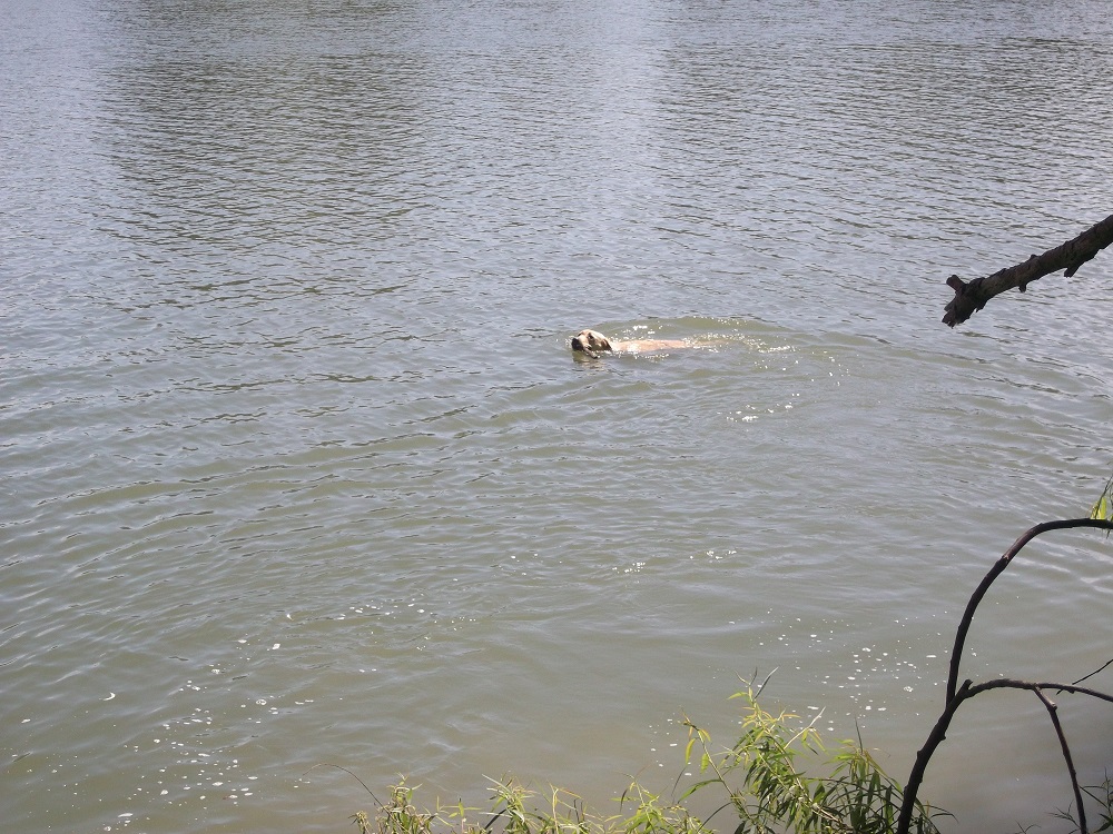 Name:  DSCF9827.JPG
Views: 486
Size:  403.7 KB