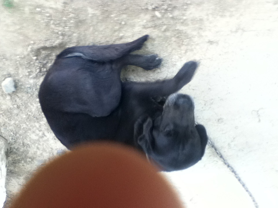 Name:  image.jpg
Views: 486
Size:  167.4 KB