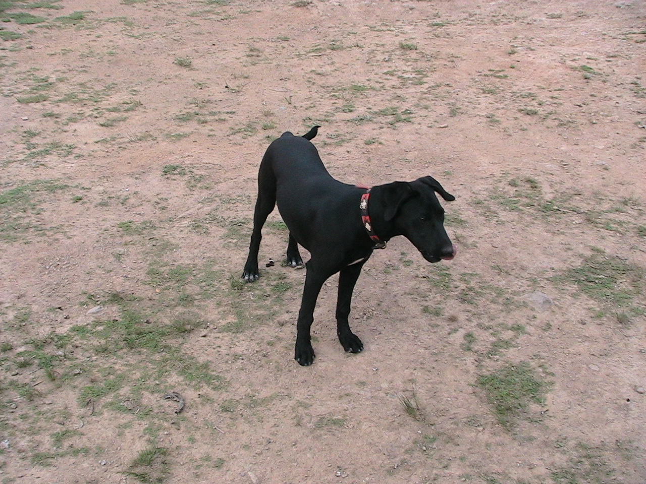 Name:  IMG_3503.JPG
Views: 431
Size:  505.4 KB