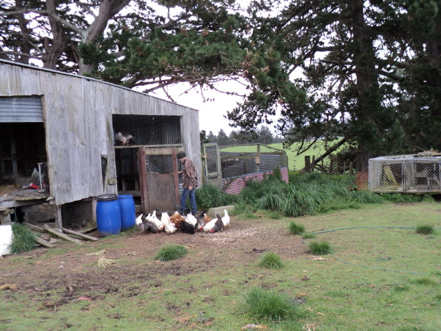 Name:  picture 2296.jpg
Views: 639
Size:  164.1 KB