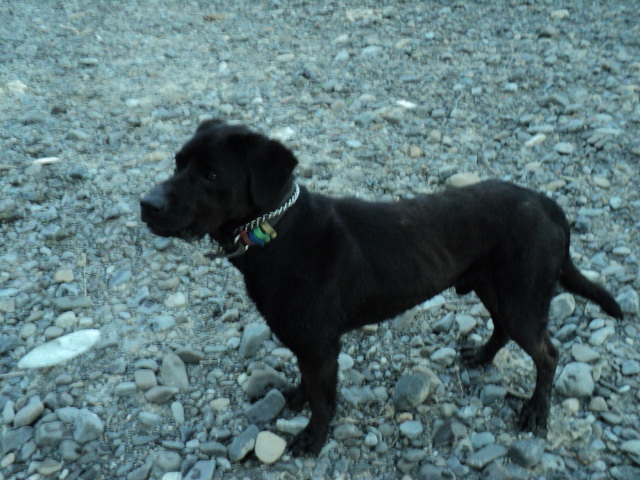 Name:  picture 2845.jpg
Views: 266
Size:  163.7 KB