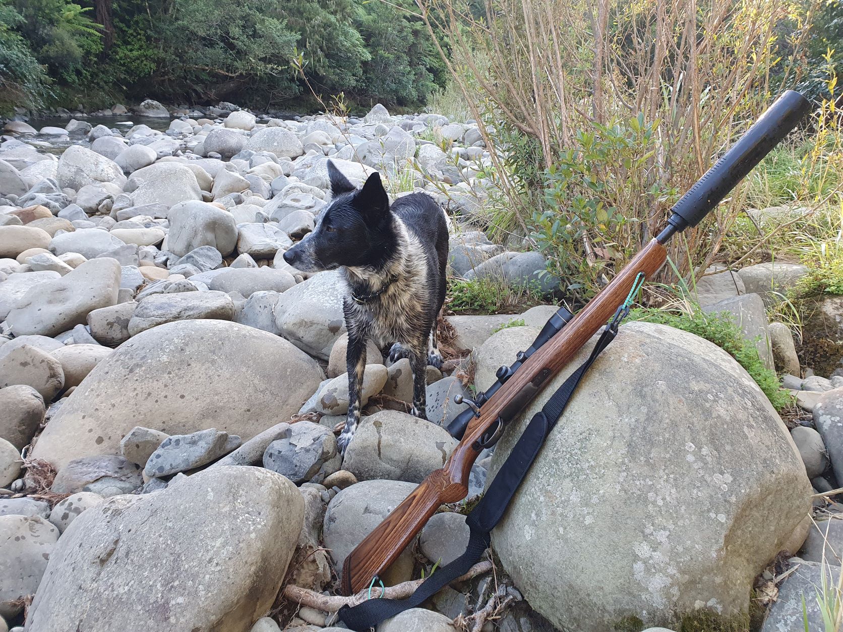 Name:  ziggy river.jpg
Views: 890
Size:  649.7 KB