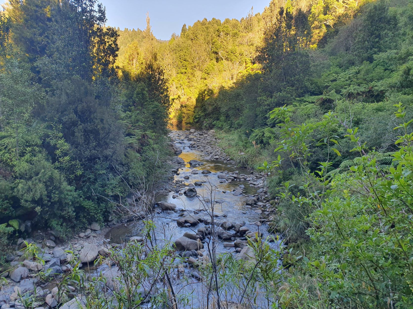 Name:  river.jpg
Views: 997
Size:  653.0 KB
