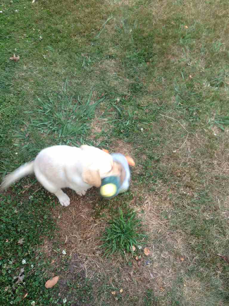 Name:  ImageUploadedByTapatalk1389682921.458442.jpg
Views: 353
Size:  89.1 KB