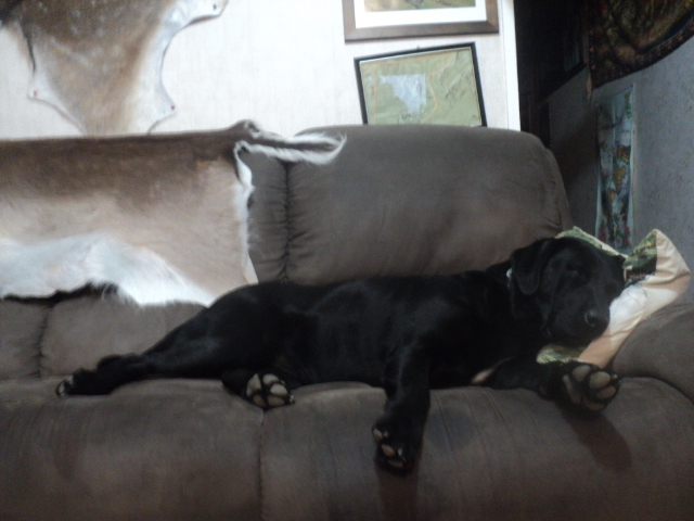 Name:  picture 01 4946.jpg
Views: 228
Size:  164.0 KB