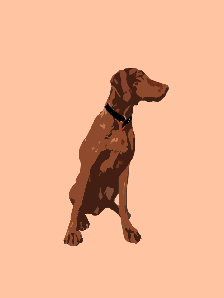 Name:  dog.jpg
Views: 296
Size:  67.7 KB