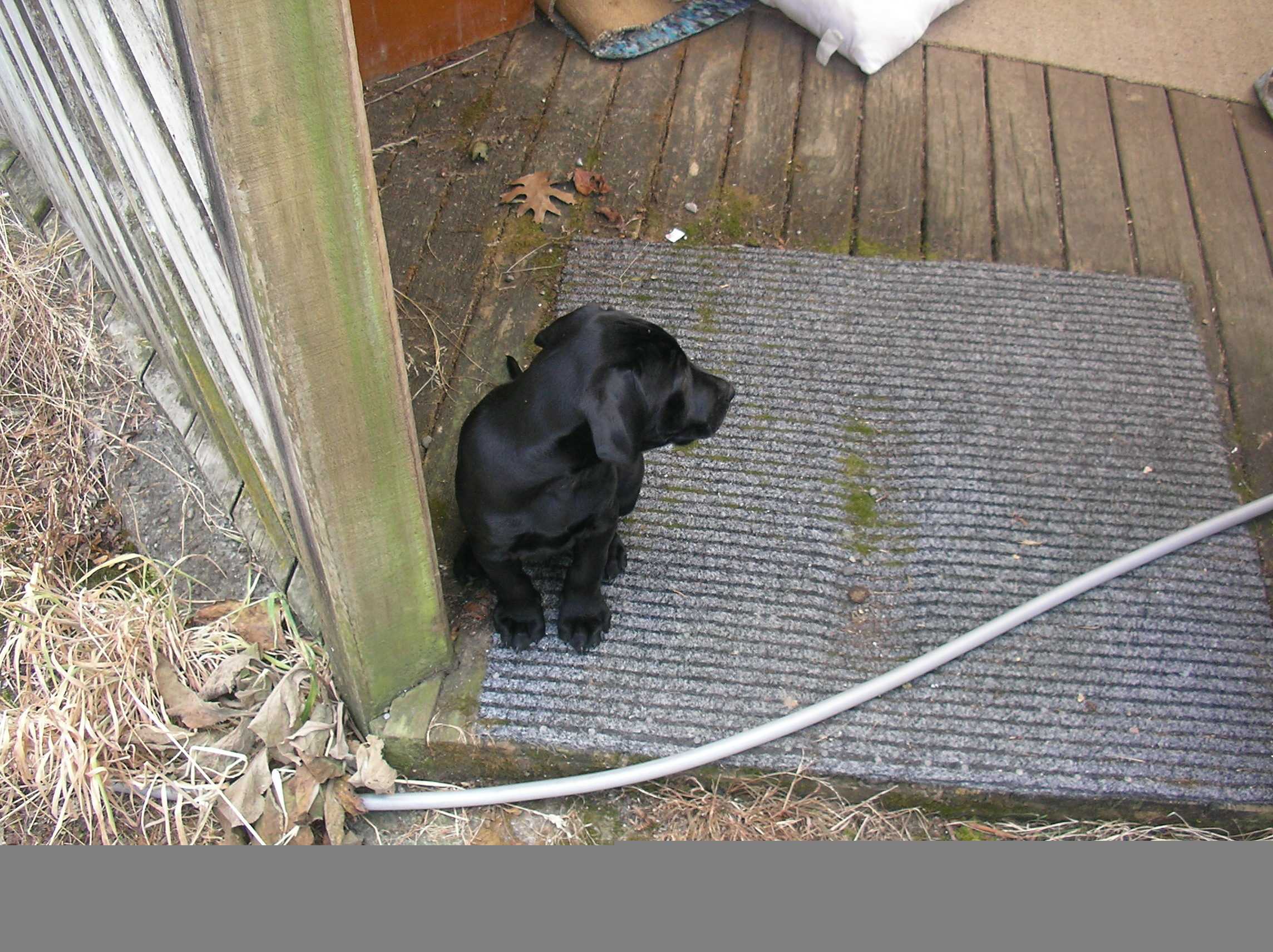 Name:  jack2.jpg
Views: 356
Size:  412.7 KB