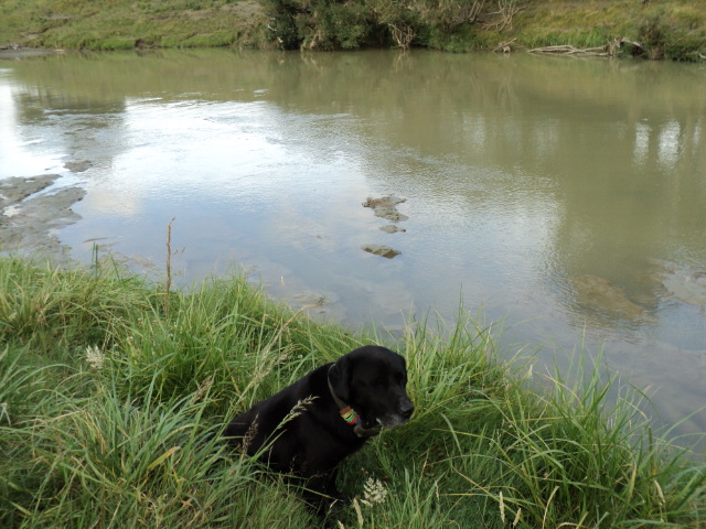 Name:  picture 2965.jpg
Views: 327
Size:  163.7 KB