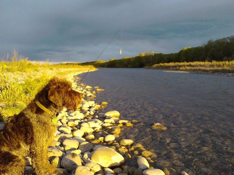Name:  1st day fishing oct 2015.jpg
Views: 362
Size:  84.6 KB