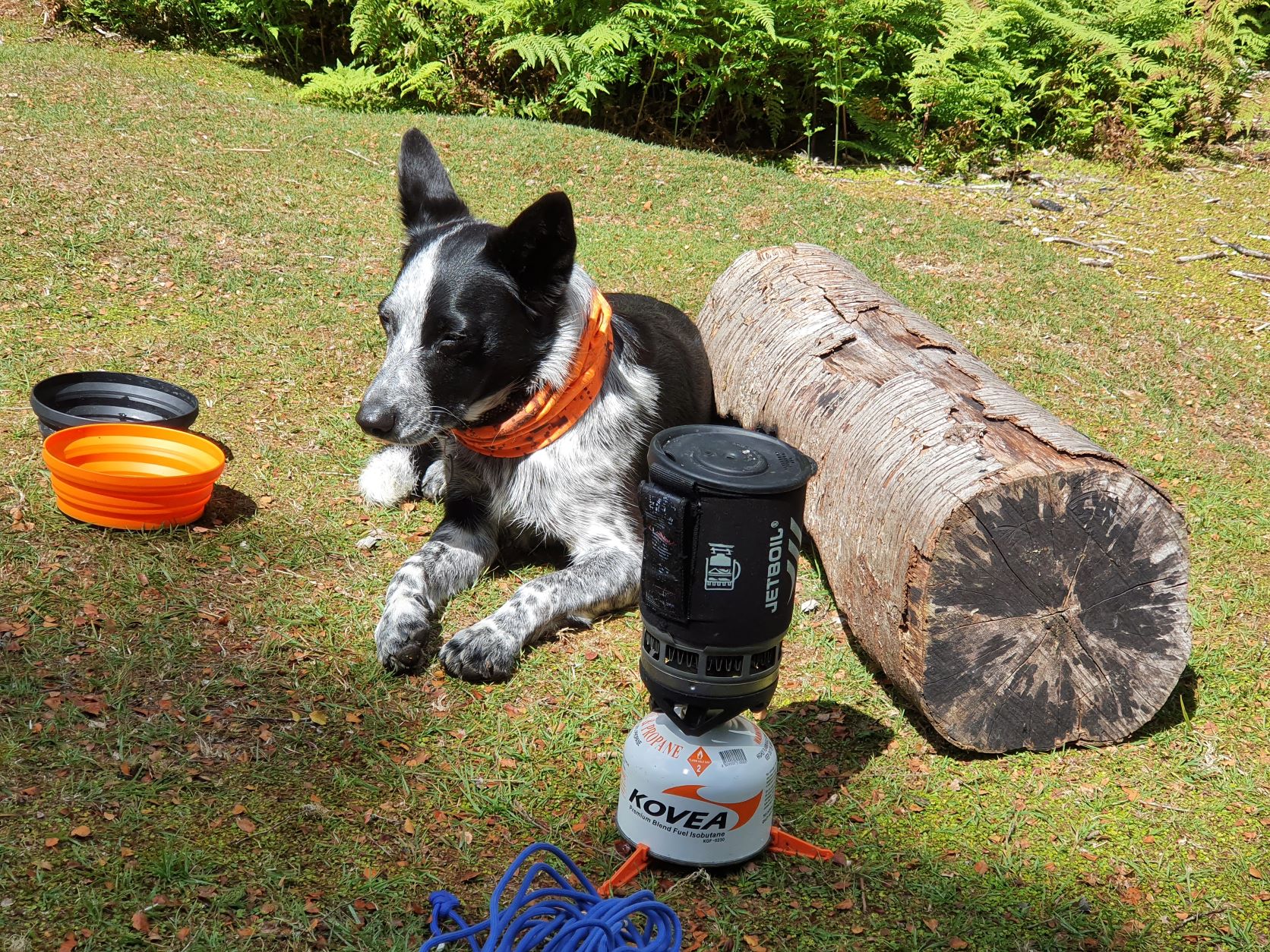 Name:  brewtime.jpg
Views: 579
Size:  807.7 KB