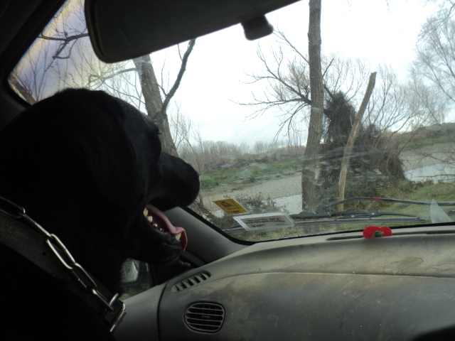 Name:  picture 01 5752.jpg
Views: 299
Size:  162.2 KB