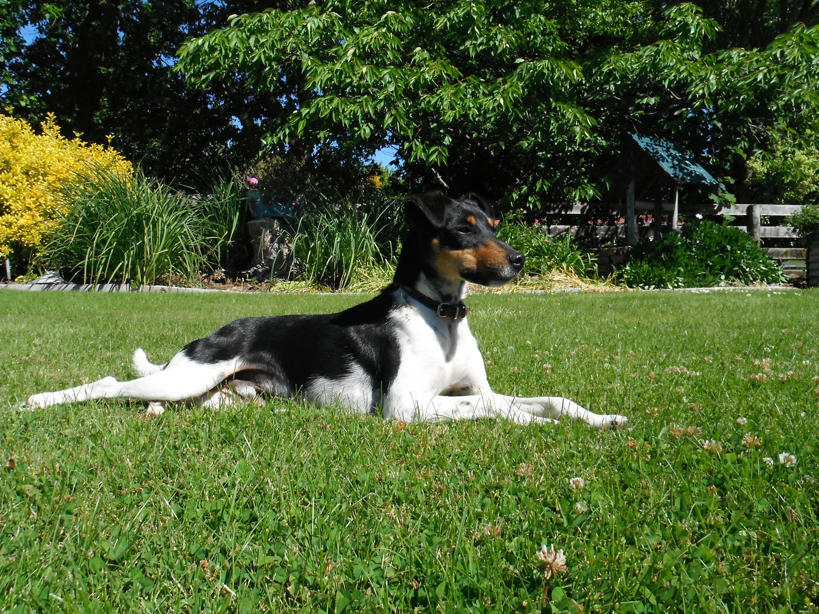 Name:  DSCF6368.jpg
Views: 404
Size:  1.22 MB