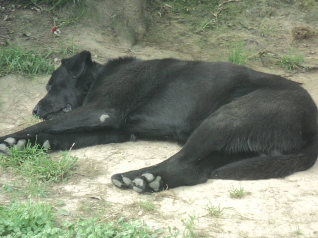 Name:  DSC05878.JPG
Views: 242
Size:  164.2 KB