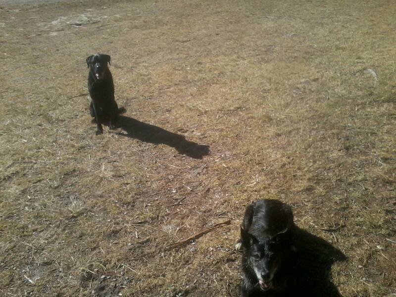 Name:  uploadfromtaptalk1394265312267.jpg
Views: 470
Size:  92.4 KB