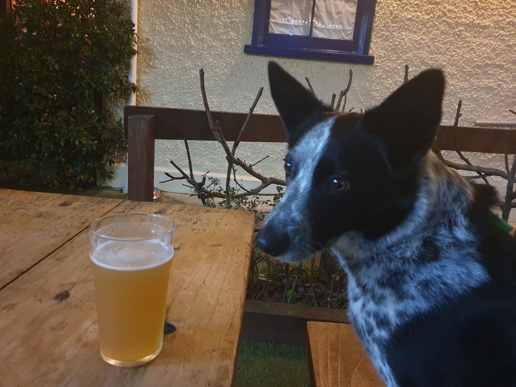 Name:  having a brew.jpg
Views: 493
Size:  308.9 KB