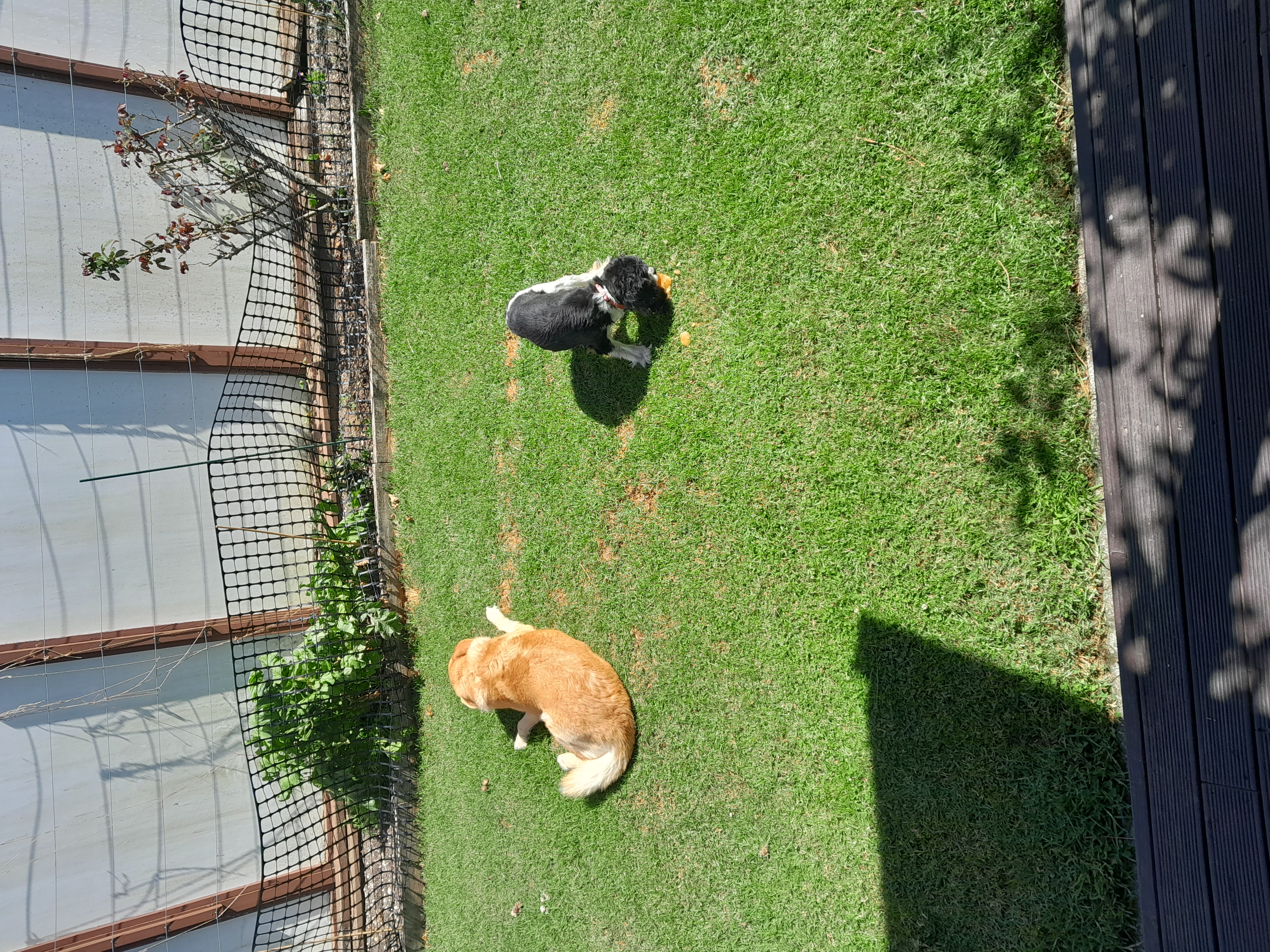 Name:  20230314_150301.jpg
Views: 256
Size:  5.87 MB