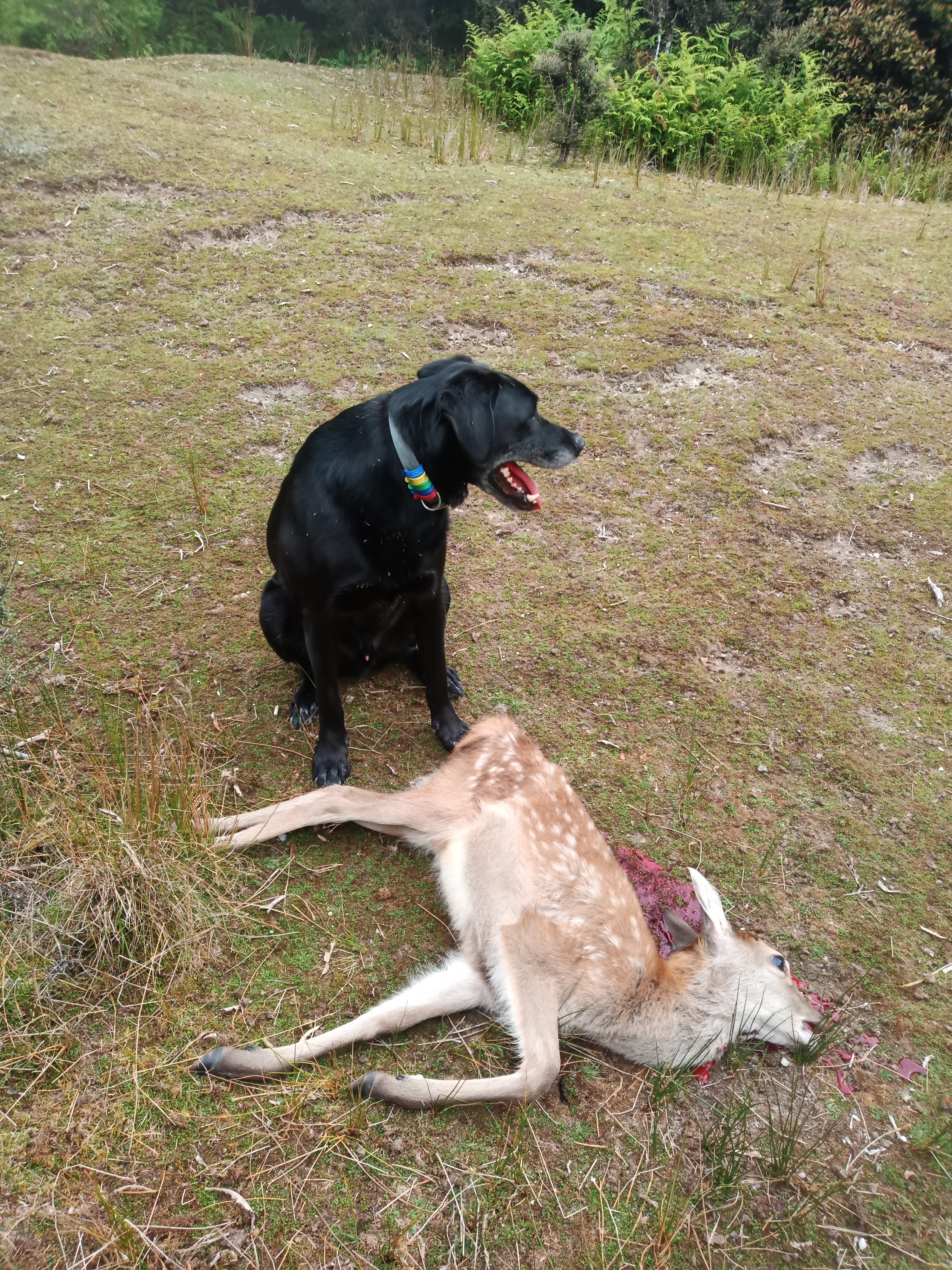 Name:  IMG_20210213_172240_7.jpg
Views: 291
Size:  8.44 MB