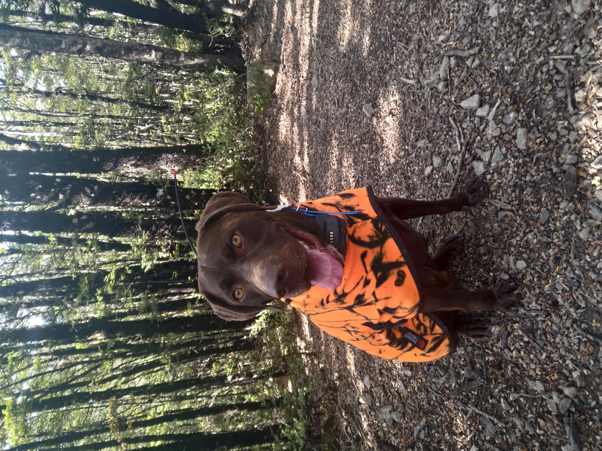 Name:  IMG_20220423_131356.jpg
Views: 168
Size:  691.2 KB