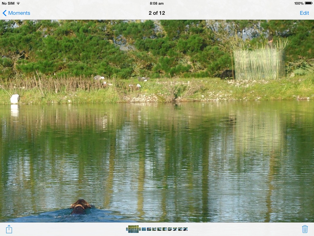 Name:  image.jpg
Views: 425
Size:  303.7 KB