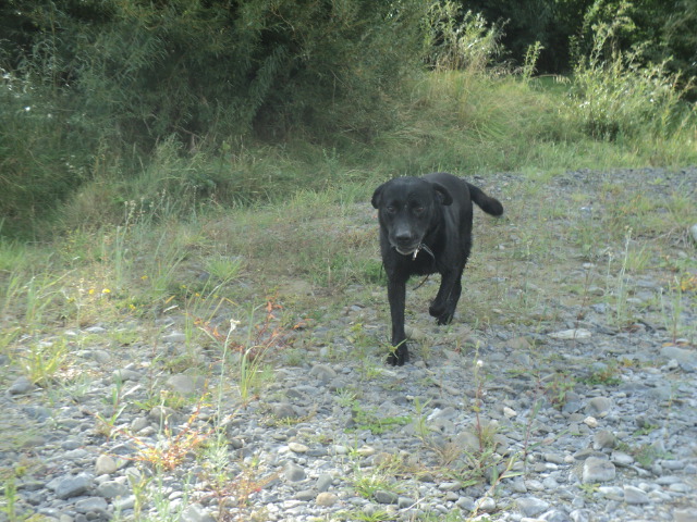 Name:  DSC08057.JPG
Views: 221
Size:  164.4 KB