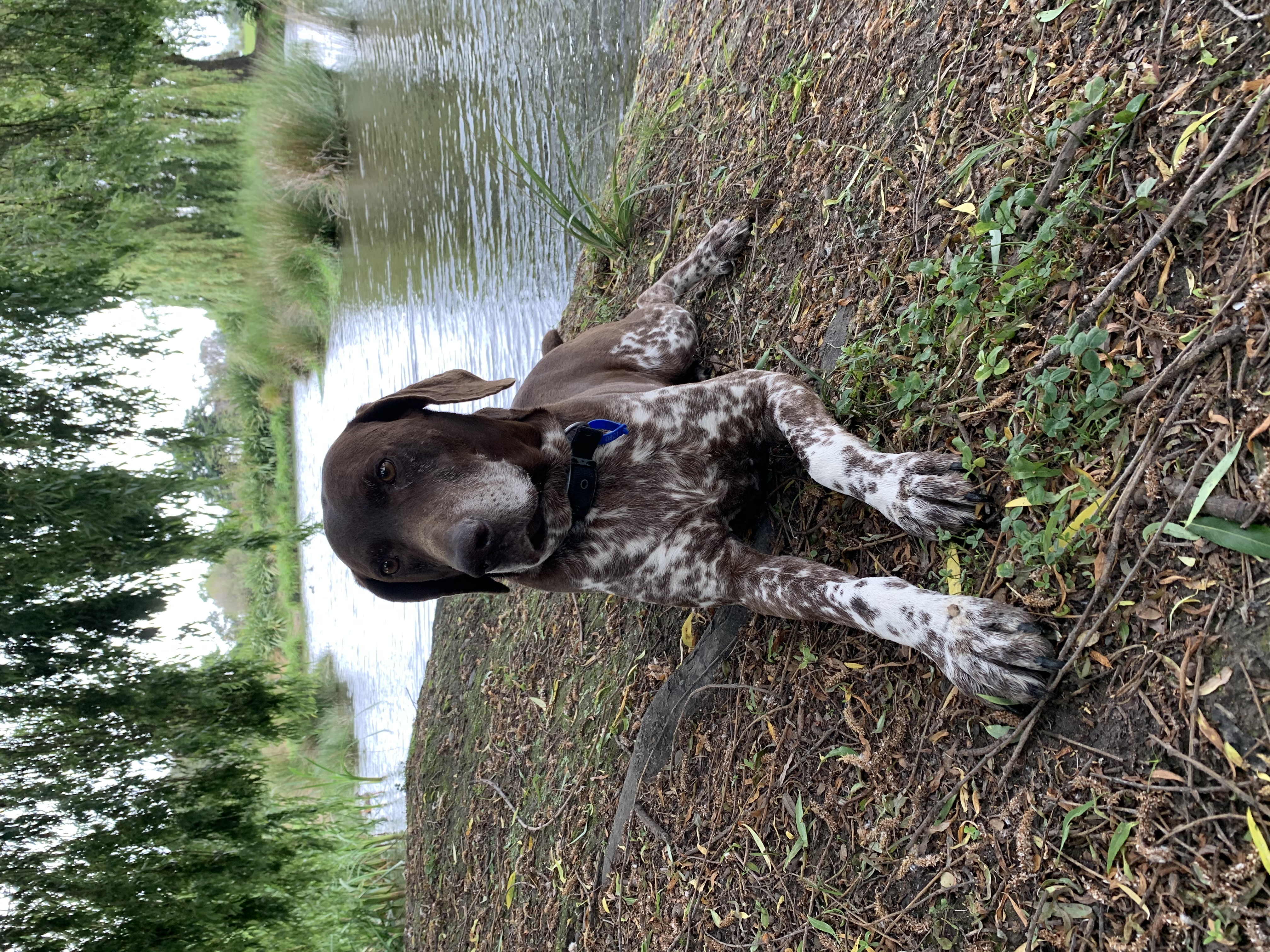 Name:  IMG_2236.jpeg
Views: 347
Size:  4.47 MB
