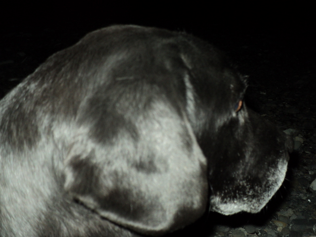 Name:  picture 3854.jpg
Views: 457
Size:  163.3 KB