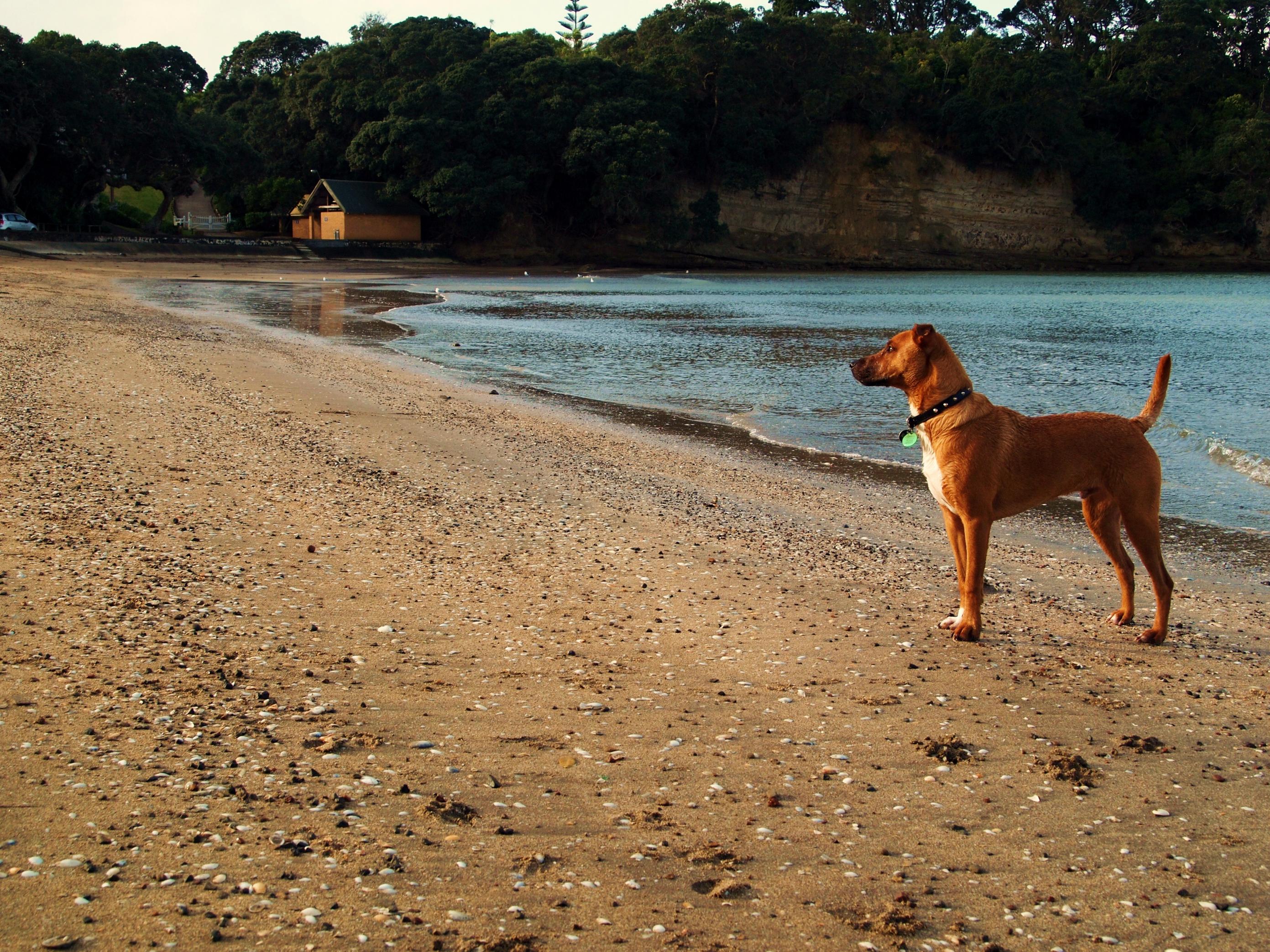 Name:  Rusty 3.jpg
Views: 567
Size:  1.10 MB