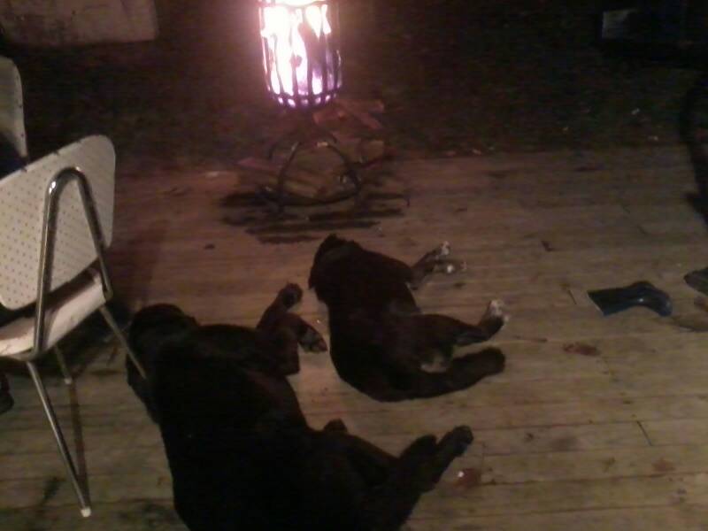 Name:  uploadfromtaptalk1402133347414.jpg
Views: 361
Size:  32.3 KB