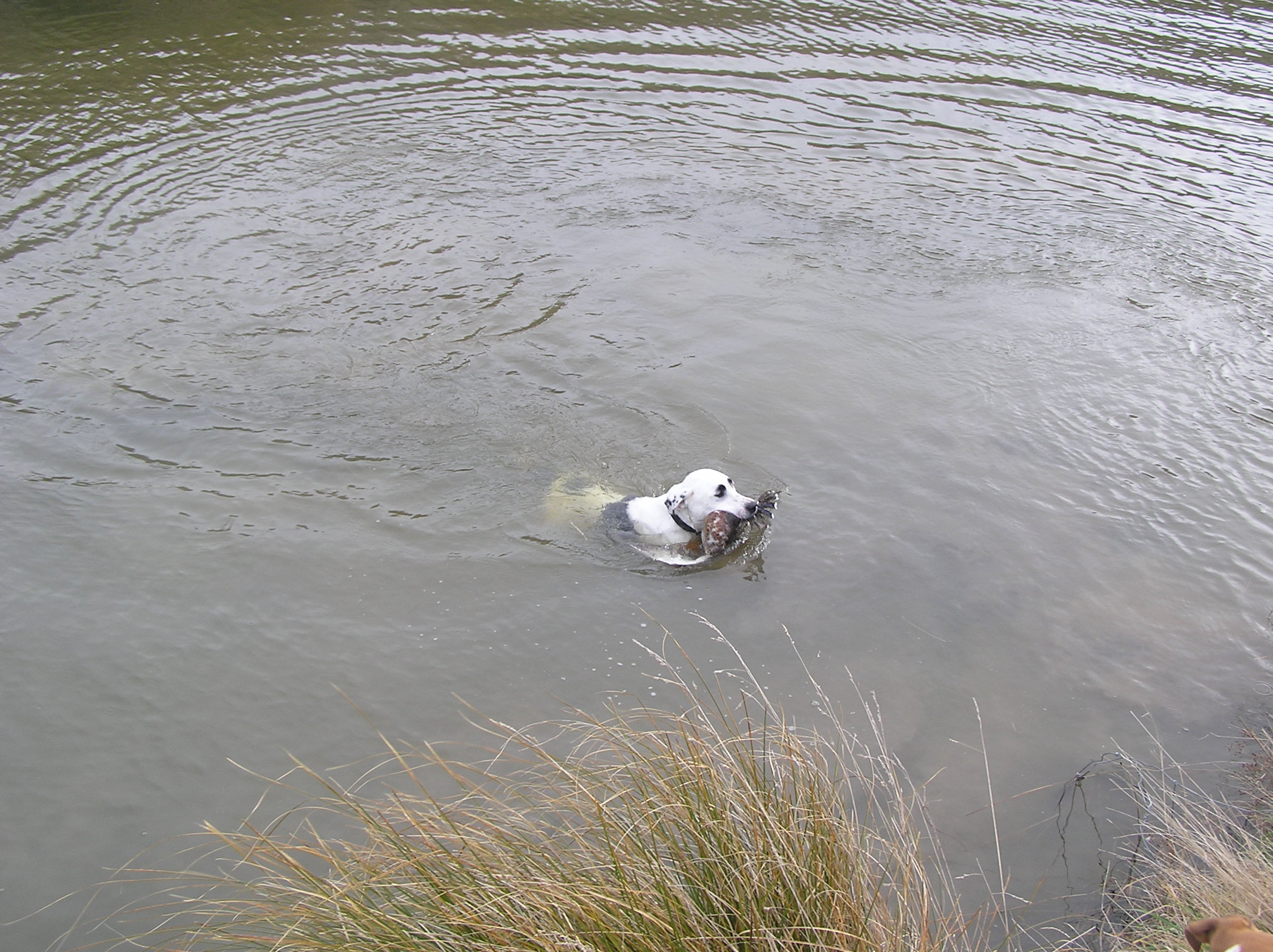 Name:  Picture 009.jpg
Views: 448
Size:  782.4 KB