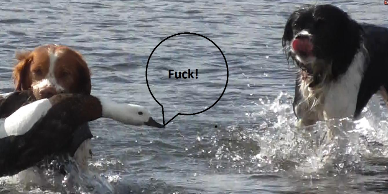 Name:  ll.jpg
Views: 382
Size:  109.3 KB