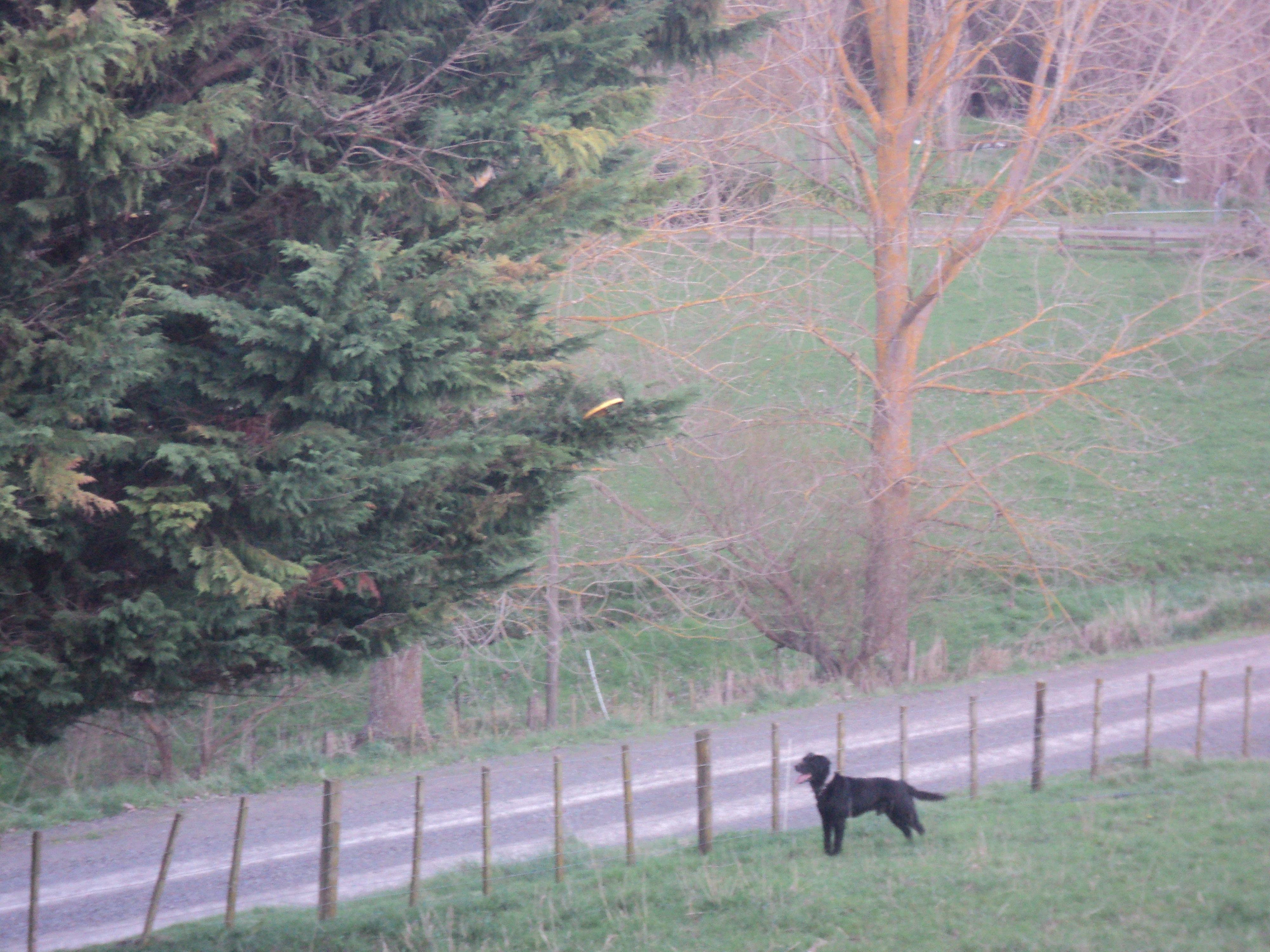Name:  picture 072.jpg
Views: 195
Size:  4.31 MB