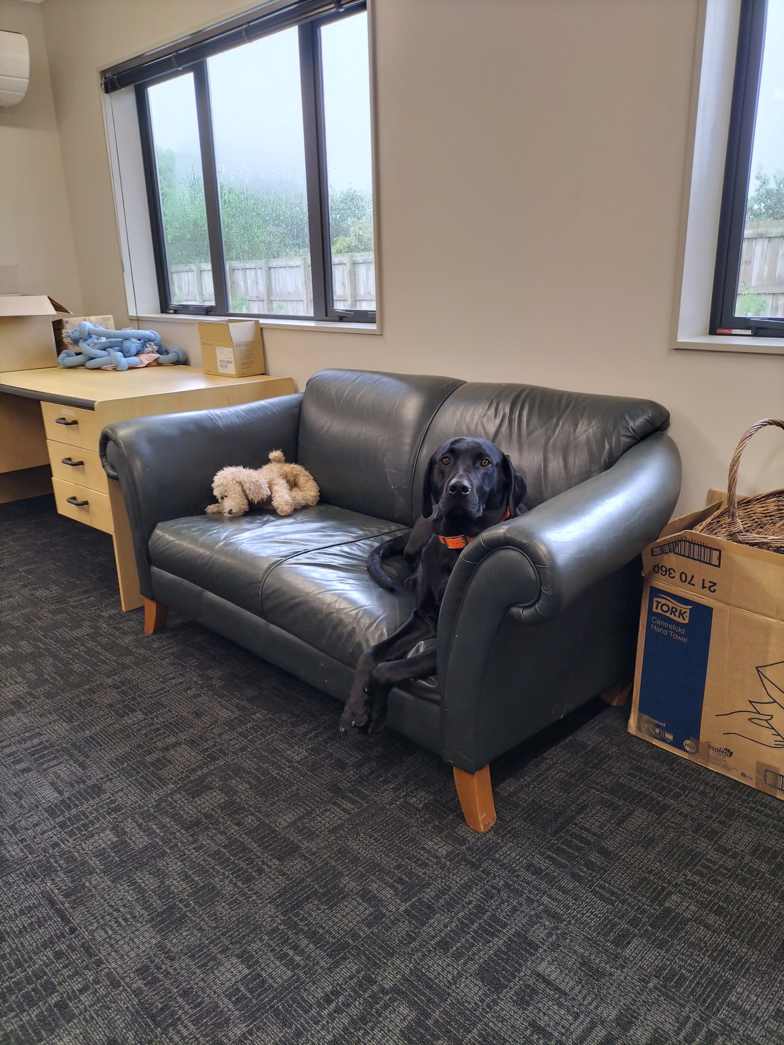 Name:  Jackworkcouch.jpg
Views: 283
Size:  876.0 KB