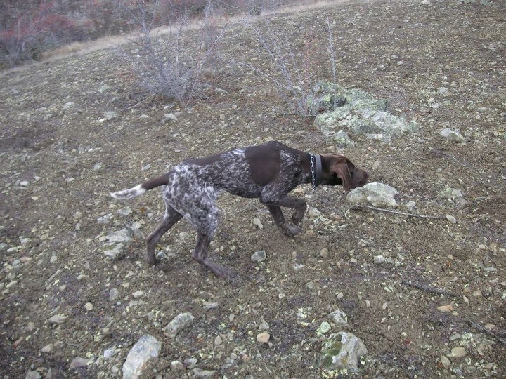 Name:  photo 1.JPG
Views: 346
Size:  227.5 KB