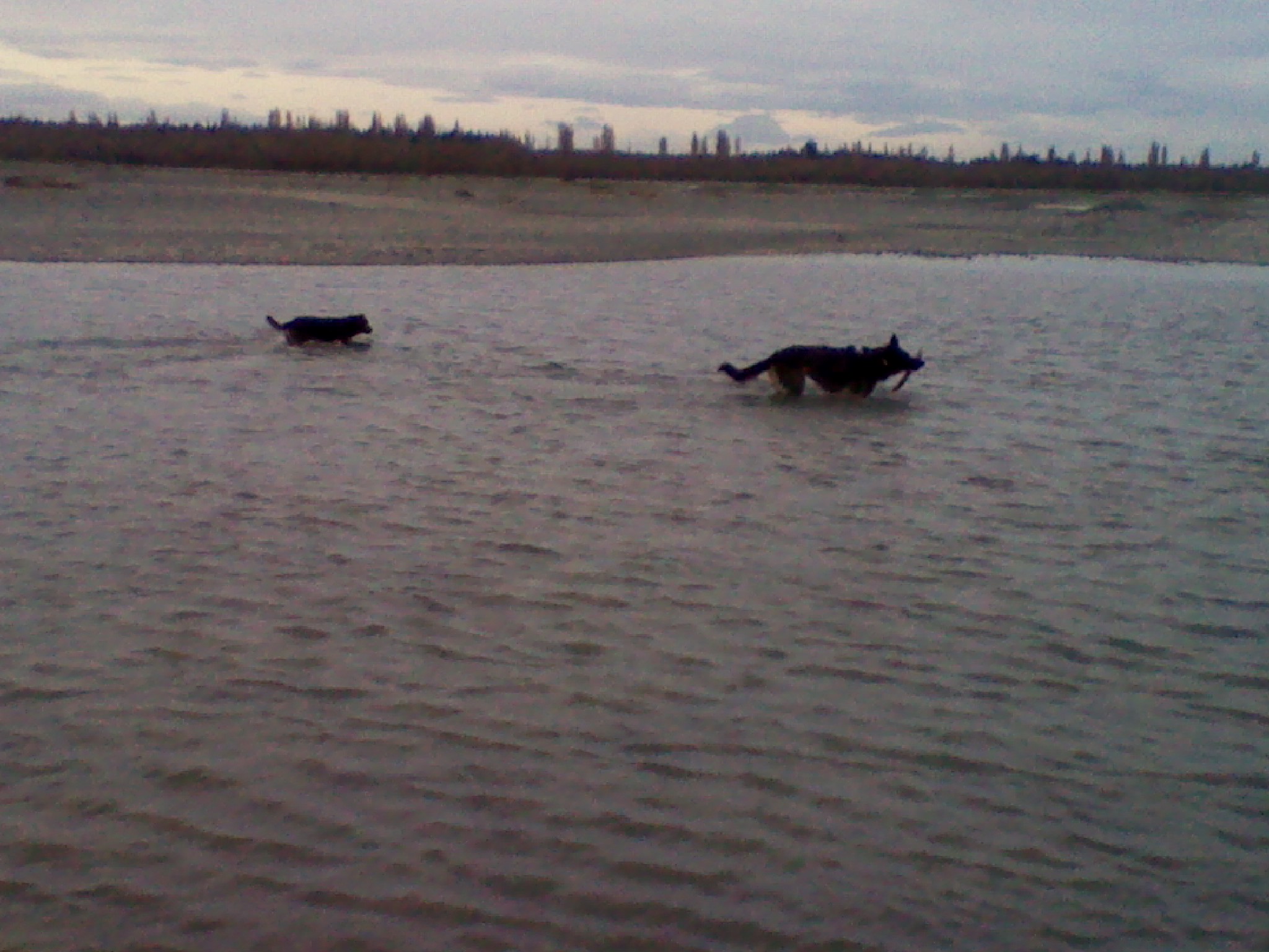 Name:  IMG_20110911_133543.jpg
Views: 277
Size:  445.4 KB