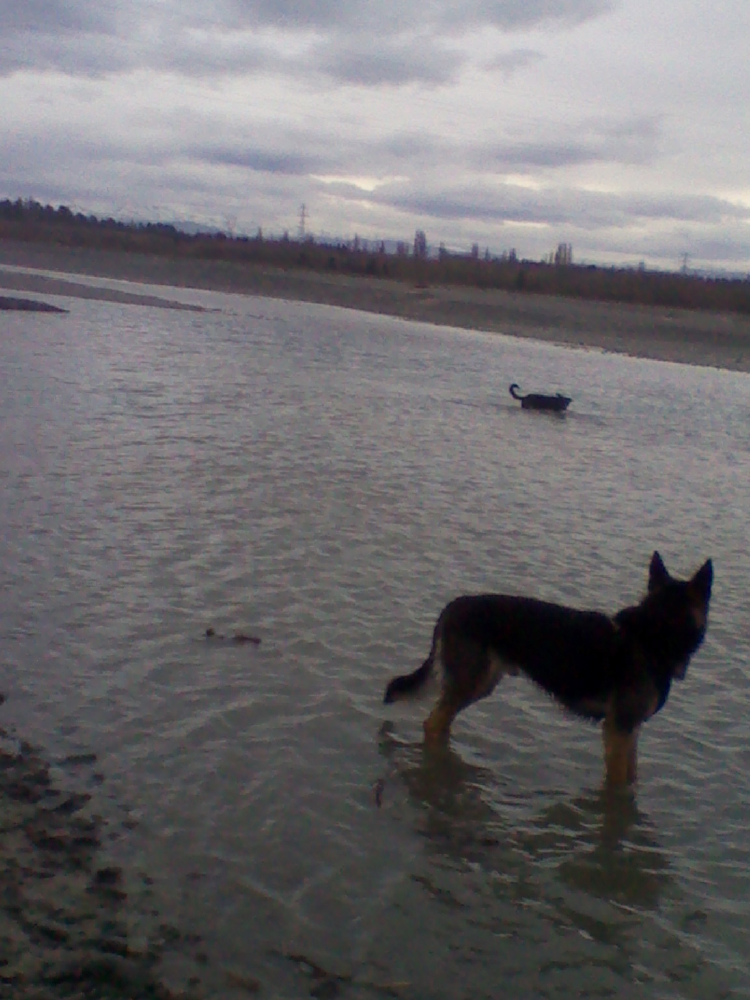Name:  IMG_20110911_133731.jpg
Views: 295
Size:  431.0 KB