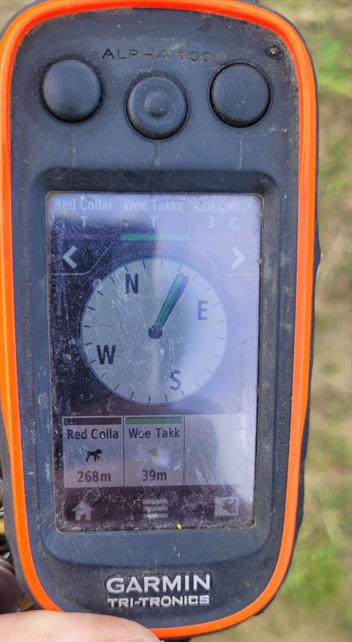 Name:  Garmin 1.JPG
Views: 136
Size:  77.5 KB
