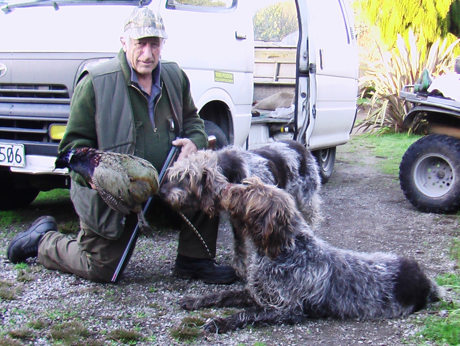 Name:  July 2014 Woody and Burl Good Melanistic pheasant 073 - Copy.JPG
Views: 601
Size:  690.1 KB