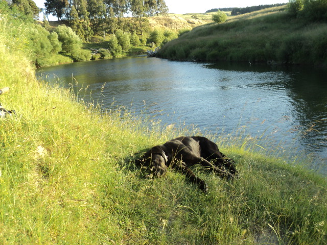 Name:  picture 4855.jpg
Views: 549
Size:  165.1 KB