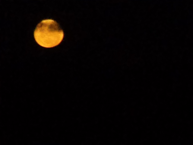 Name:  picture 4929.jpg
Views: 576
Size:  78.1 KB