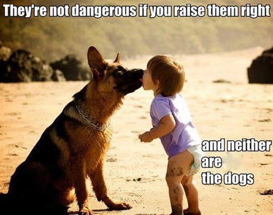 Name:  dogs.jpg
Views: 535
Size:  38.3 KB