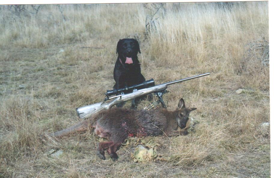 Name:  Che'and kimber 22-250 at Eric Ross' 2005.jpg
Views: 421
Size:  98.1 KB