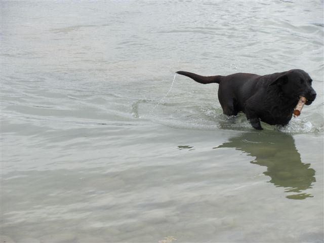 Name:  IMG_0190.JPG
Views: 385
Size:  38.2 KB