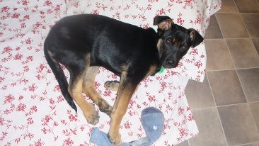 Name:  BabyJetty.jpg
Views: 705
Size:  25.4 KB