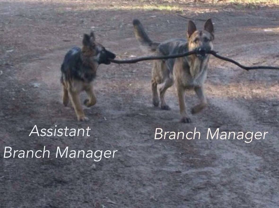 Name:  branch manager.jpg
Views: 2429
Size:  110.0 KB