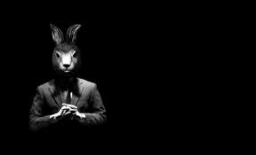 Name:  rabbit.png
Views: 378
Size:  11.1 KB