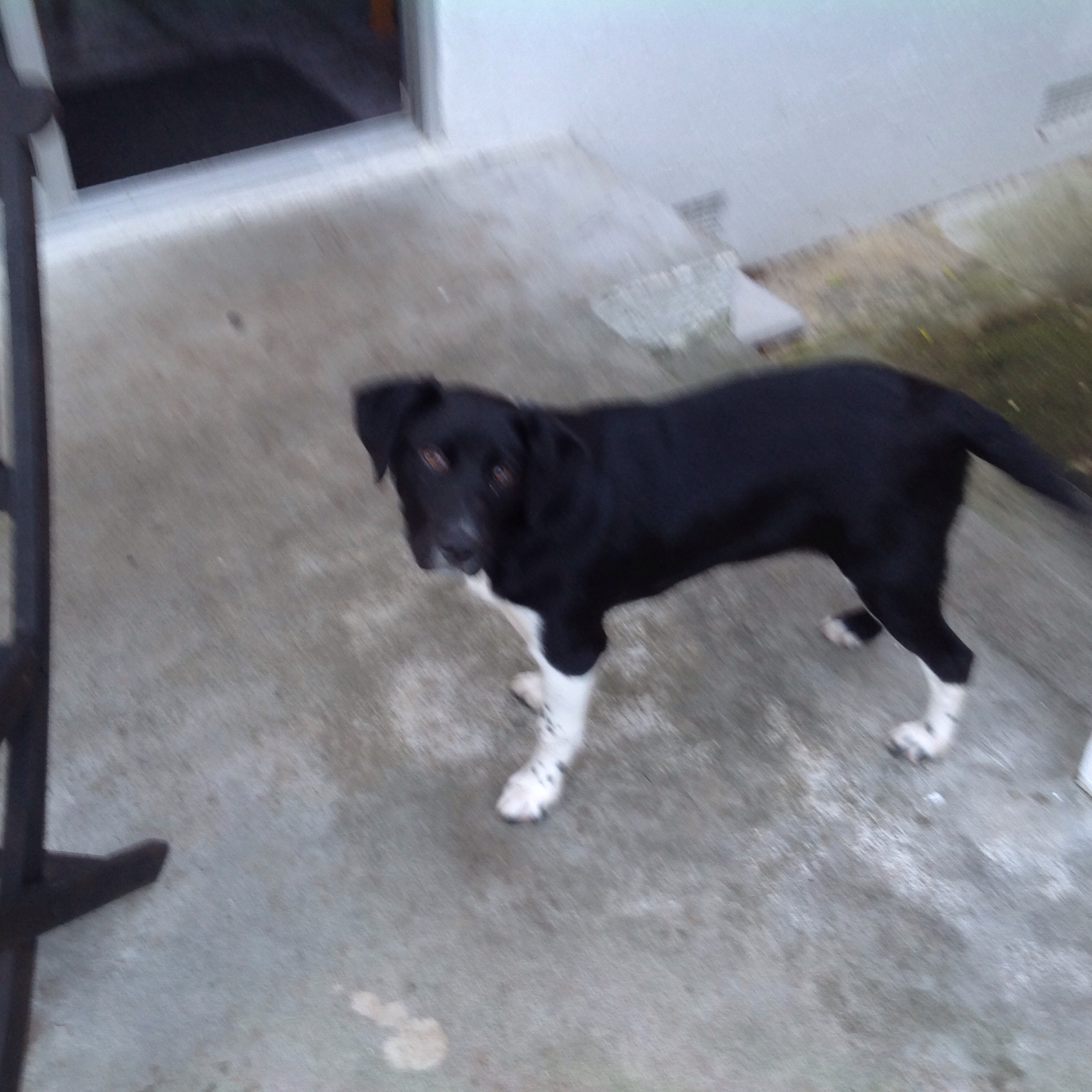 Name:  image.jpg
Views: 555
Size:  687.6 KB