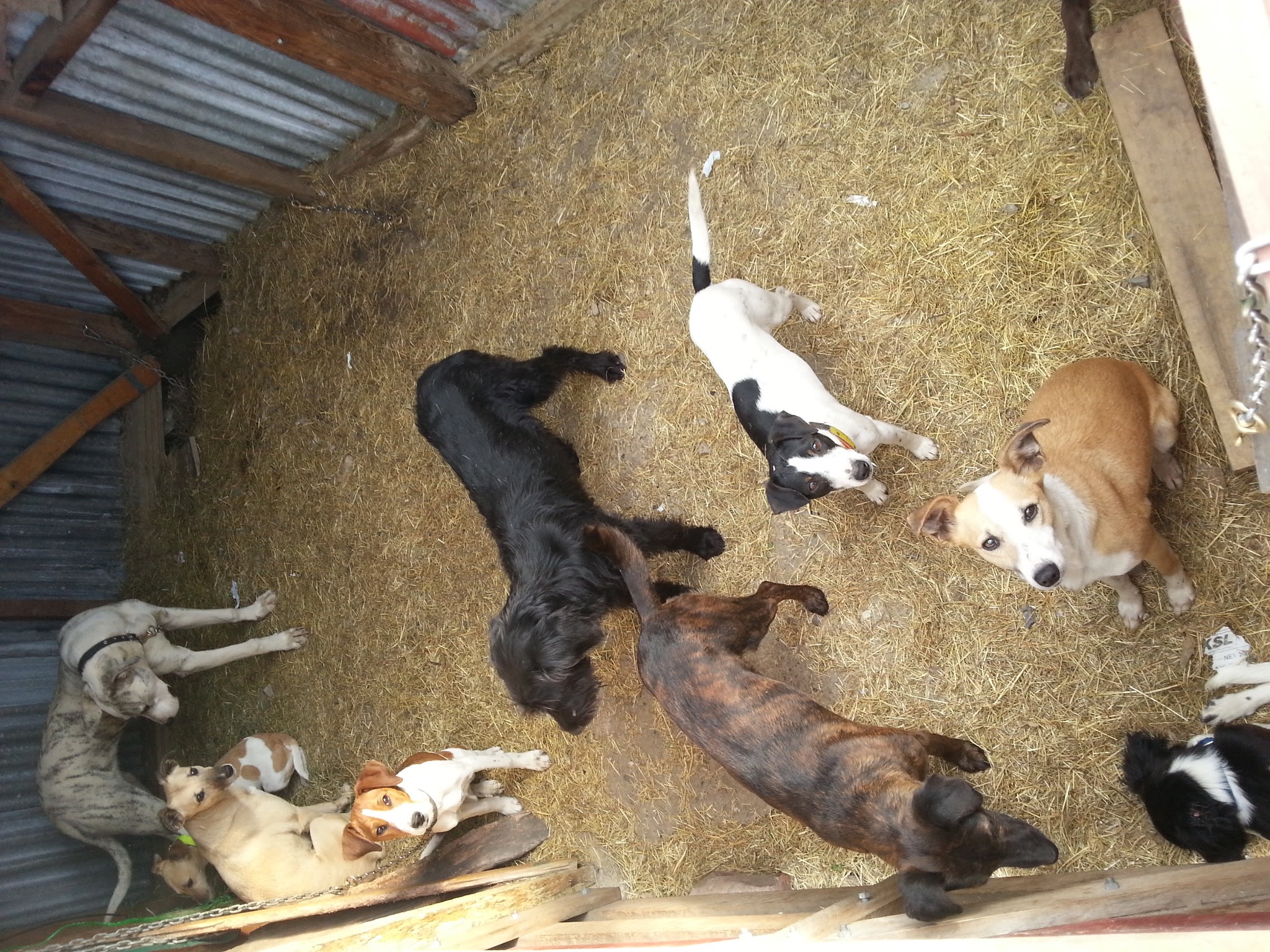 Name:  20121025_165752.jpg
Views: 307
Size:  871.7 KB