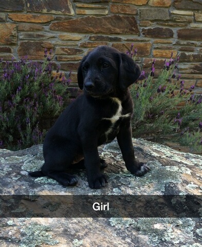 Name:  girl gspx.jpg
Views: 828
Size:  86.7 KB