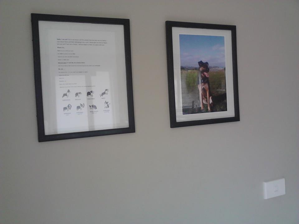 Name:  JetIntroonthewall.jpg
Views: 205
Size:  29.0 KB