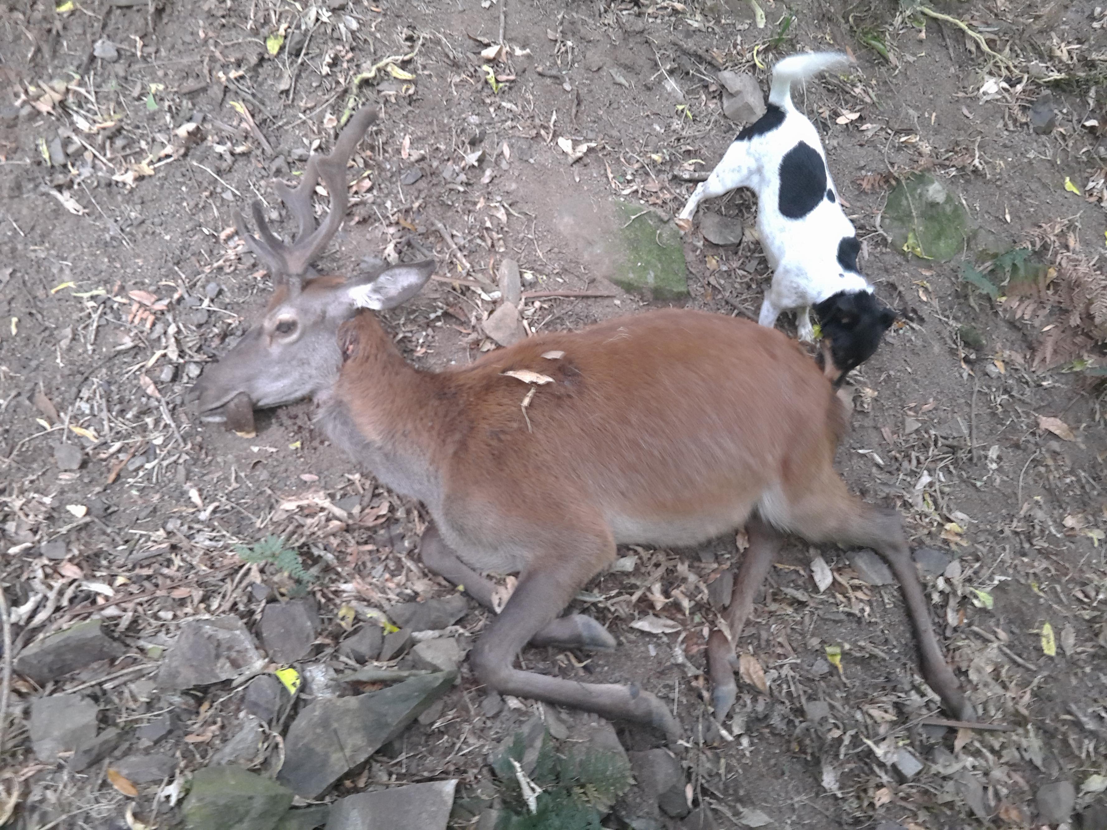 Name:  P51231-074319.jpg
Views: 691
Size:  1.15 MB